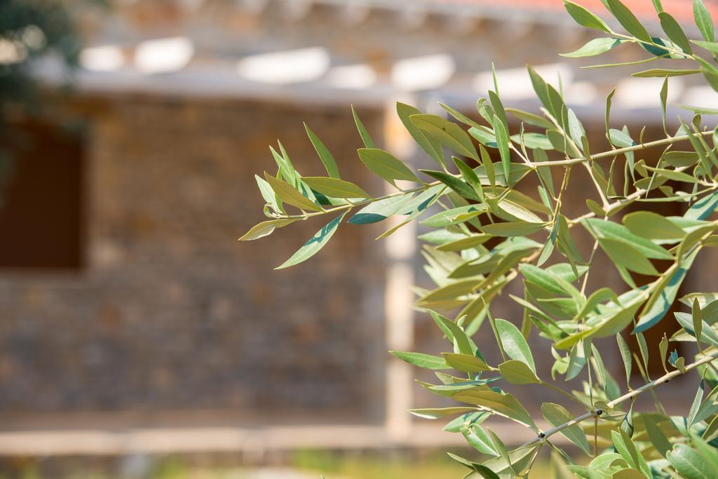 Olive Land Villas 리메나리아 객실 사진